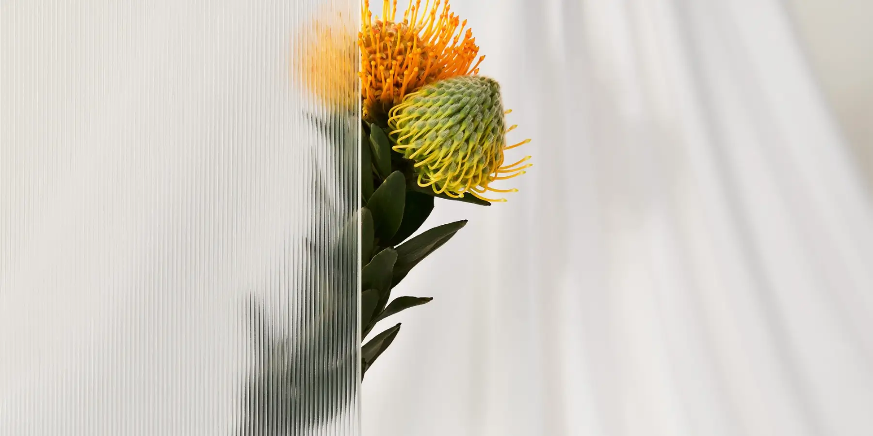 monoline_img83